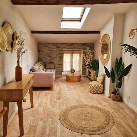 Emplacement N°1+terrasse Vue+cite+trivalle+clim Apartment *