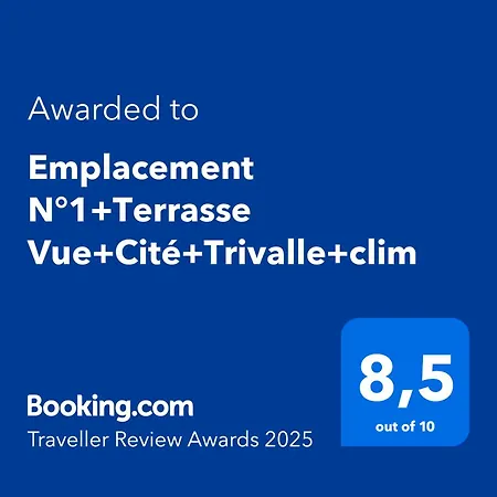 Emplacement N°1+terrasse Vue+cite+trivalle+clim *