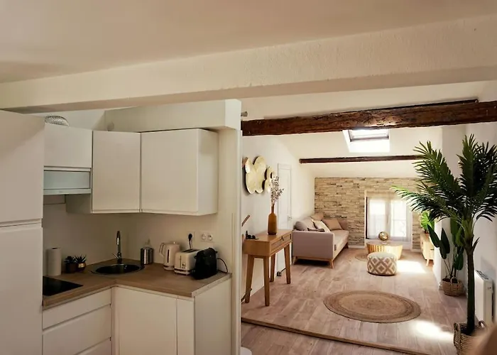 Emplacement N°1+terrasse Vue+cite+trivalle+clim Apartamento Carcassonne